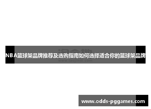 NBA篮球架品牌推荐及选购指南如何选择适合你的篮球架品牌