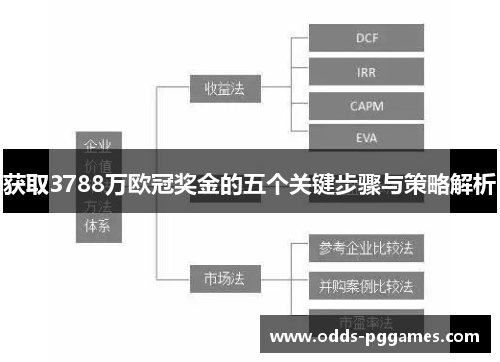 获取3788万欧冠奖金的五个关键步骤与策略解析