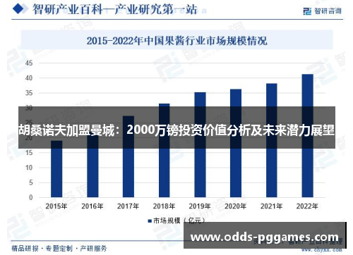 胡桑诺夫加盟曼城：2000万镑投资价值分析及未来潜力展望