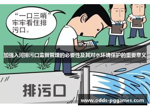 加强入河排污口监督管理的必要性及其对水环境保护的重要意义