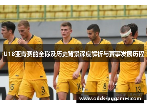 U18亚青赛的全称及历史背景深度解析与赛事发展历程